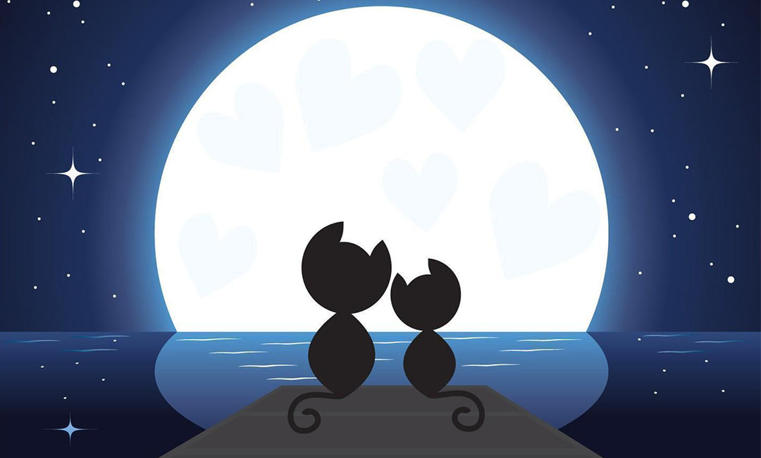 平顶山潮客汇微信活动策划案例