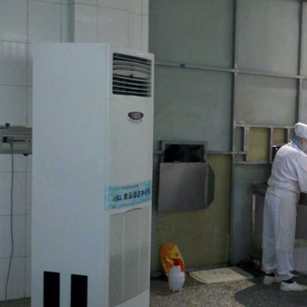 平顶山食品正负离子空气杀菌器